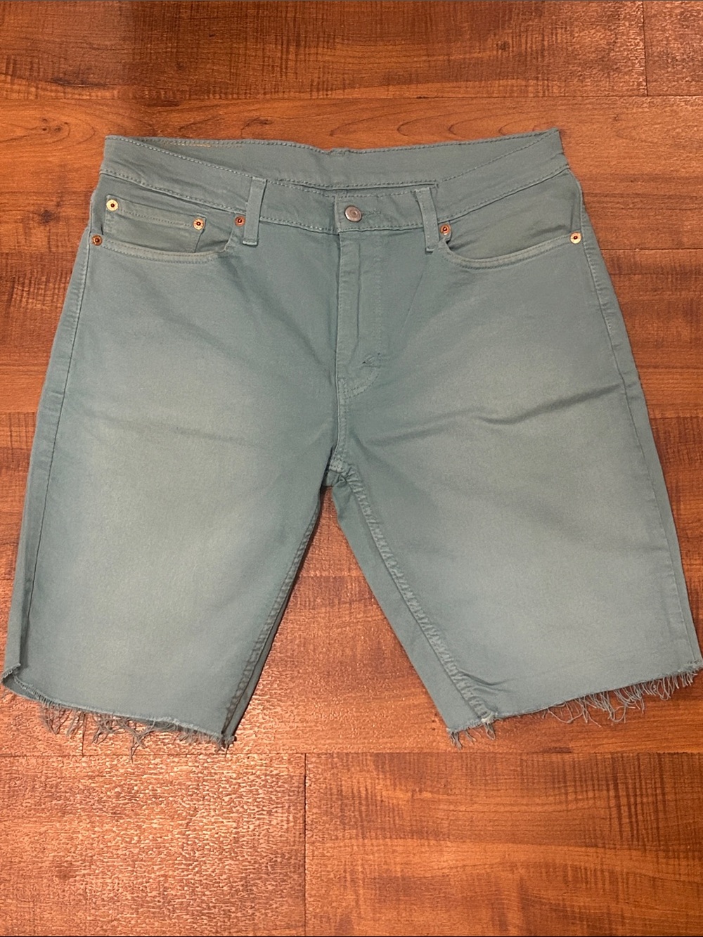 Levi's Men's Teal Cutoff Denim Shorts
